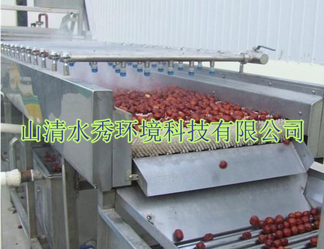 客戶定製果蔬清洗流（liú）水線出廠（chǎng）前試用
